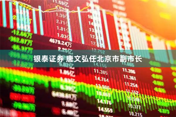 银泰证券 唐文弘任北京市副市长