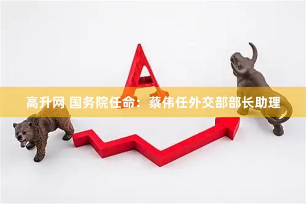 高升网 国务院任命：蔡伟任外交部部长助理