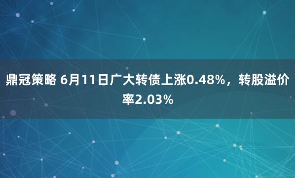 鼎冠策略 6月11日广大转债上涨0.48%，转股溢价率2.03%