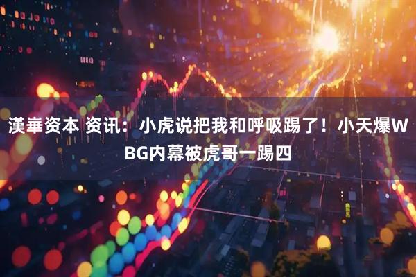 漢崋资本 资讯：小虎说把我和呼吸踢了！小天爆WBG内幕被虎哥一踢四