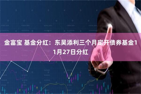 金富宝 基金分红：东吴添利三个月定开债券基金11月27日分红