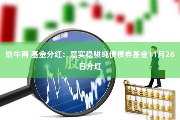 鼎牛网 基金分红：嘉实稳骏纯债债券基金11月26日分红