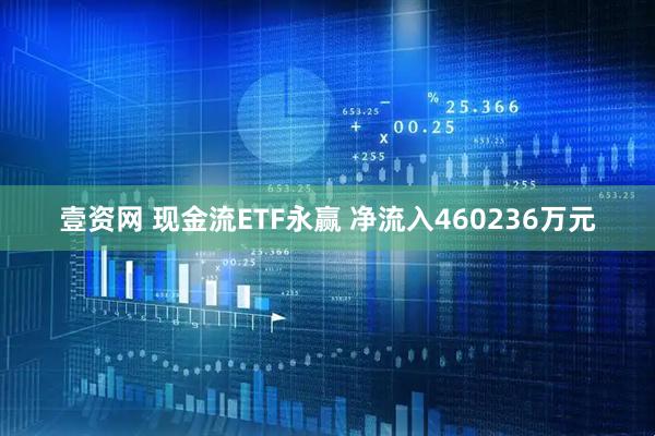 壹资网 现金流ETF永赢 净流入460236万元